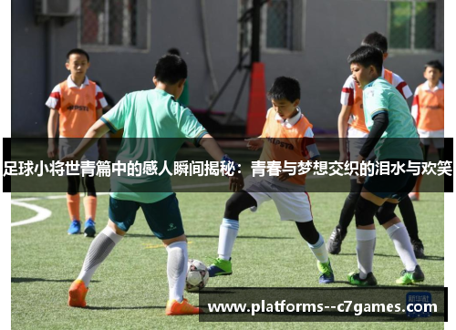 足球小将世青篇中的感人瞬间揭秘：青春与梦想交织的泪水与欢笑