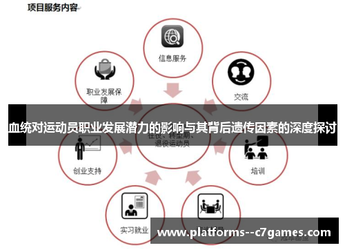 血统对运动员职业发展潜力的影响与其背后遗传因素的深度探讨