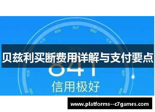 贝兹利买断费用详解与支付要点